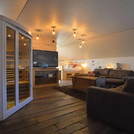 In With Indoor Swimming Pool And Wellness Holiday home