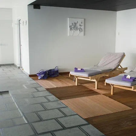 In With Indoor Swimming Pool And Wellness